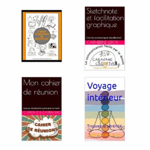 PACK promo: 4 livres sketchnote